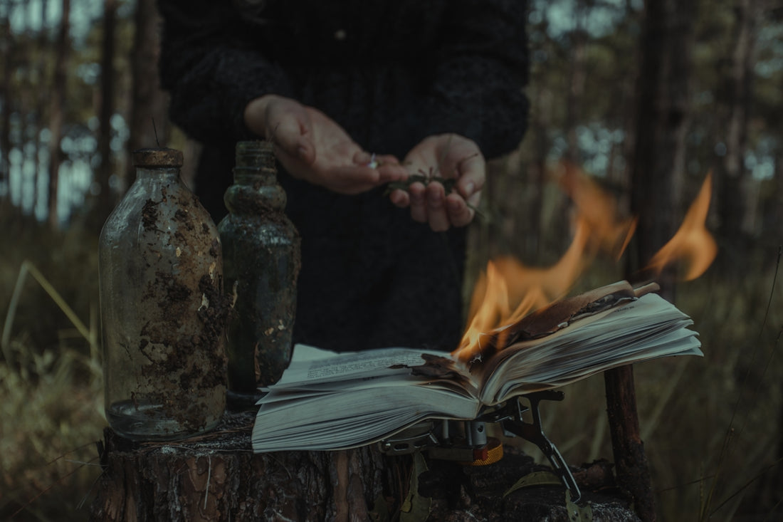 a person standing over a book on a stump in the woods