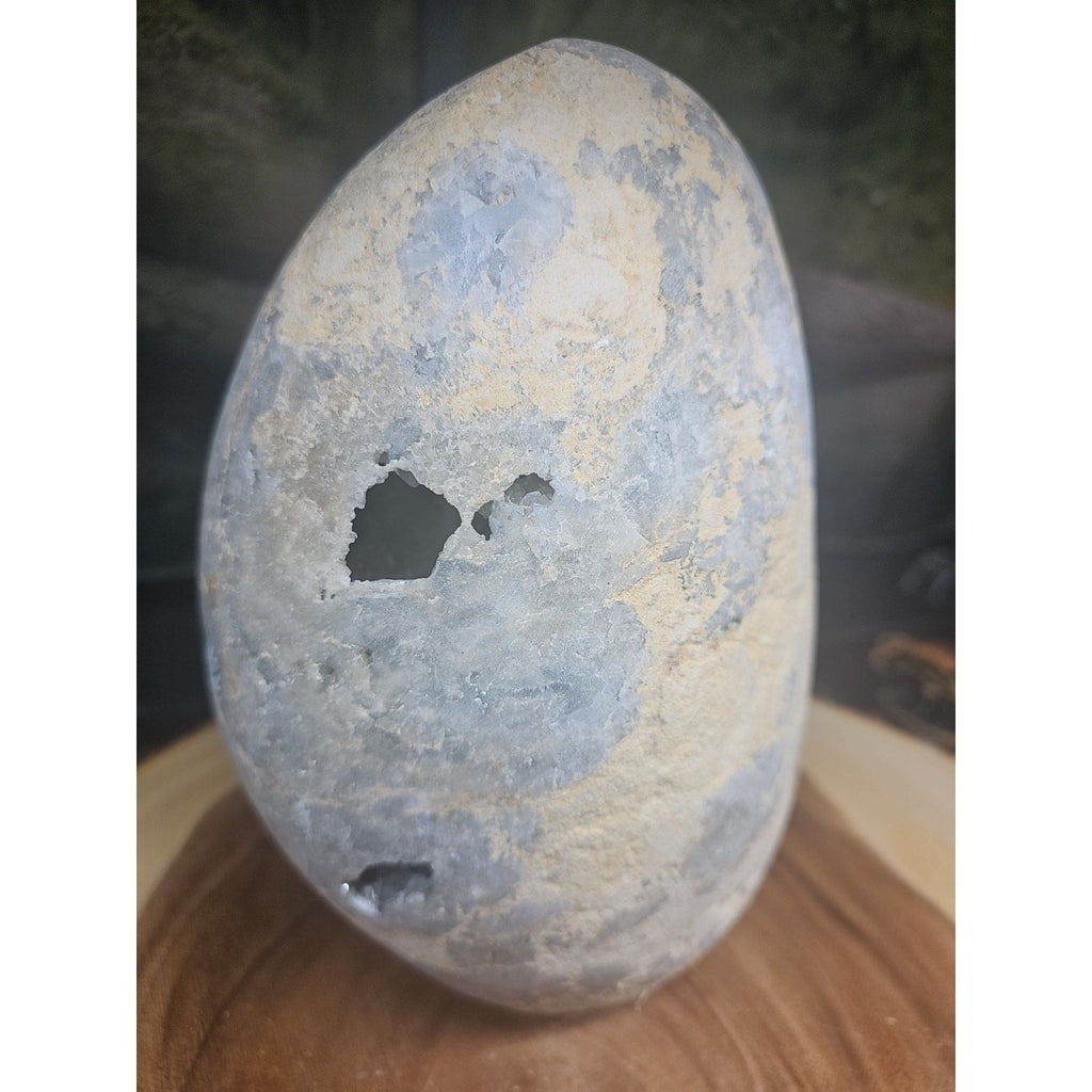 Large Baby Blue Celestite Geode Cluster — 13.6 lbs, 8 inches, Brazil | CrystalCloud Company | Geodes & Clusters | Wiccan Center
