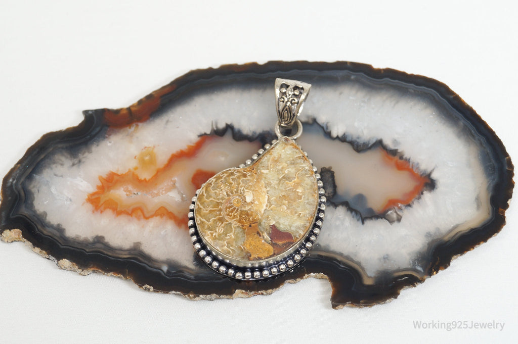 Vintage Large Ammonite Fossil Shell Sterling Silver Necklace Pendant | Jewelry > Necklaces > Pendants | Wiccan Center