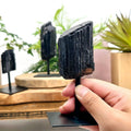 Black Tourmaline Cluster on Metal Stand