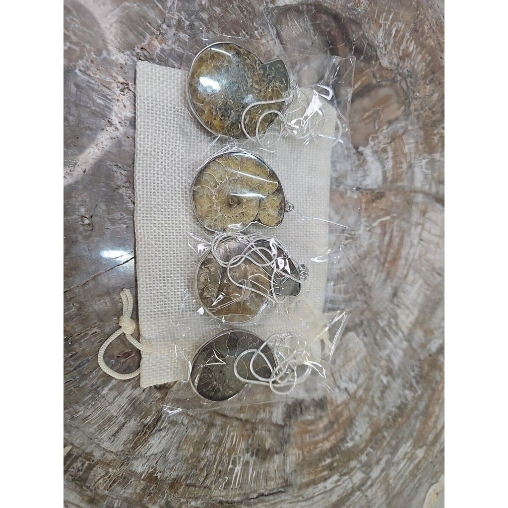 Ammonite Fossil Pendant Necklace — Handmade with 18-inch Silver Chain | CrystalCloud Company