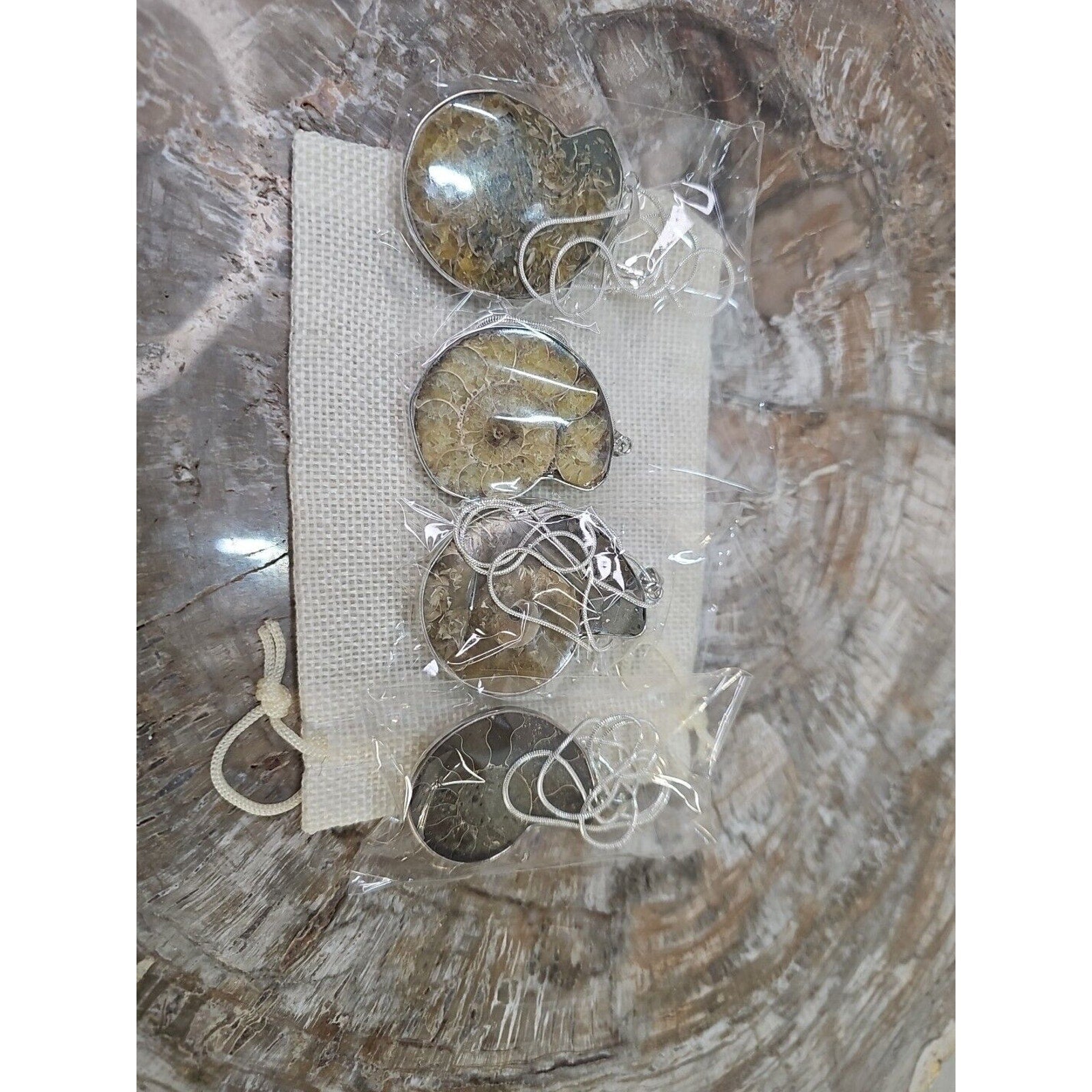 Ammonite Fossil Pendant Necklace — Handmade with 18-inch Silver Chain | CrystalCloud Company