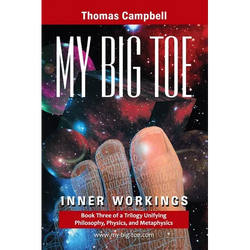 My Big TOE - Inner Workings S: Book 3 of a Trilogy Unifying Philosophy, Physics, and Metaphysics - Paperback | Books | Wiccan Center