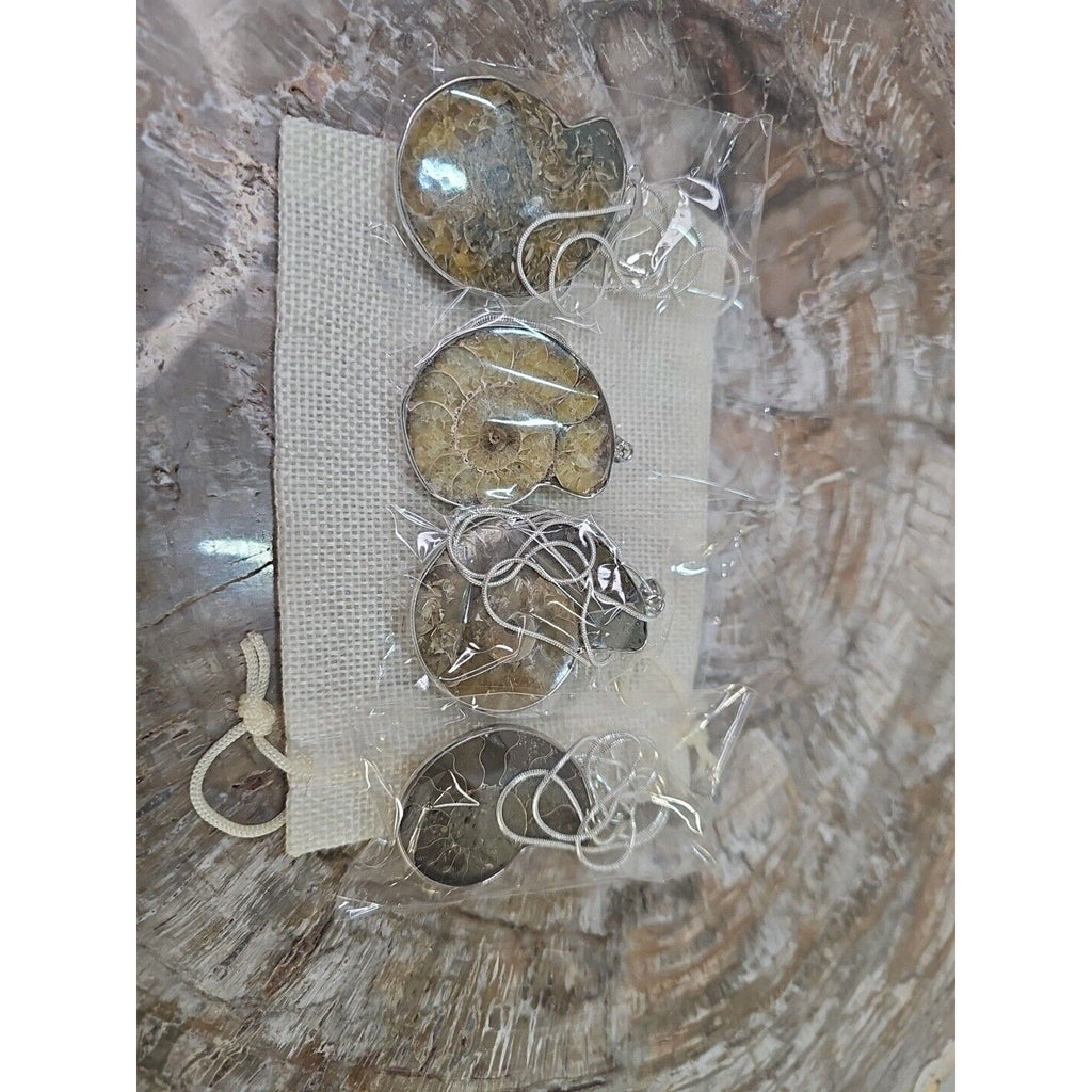 Ammonite Fossil Pendant Necklace — Handmade with 18-inch Silver Chain | CrystalCloud Company