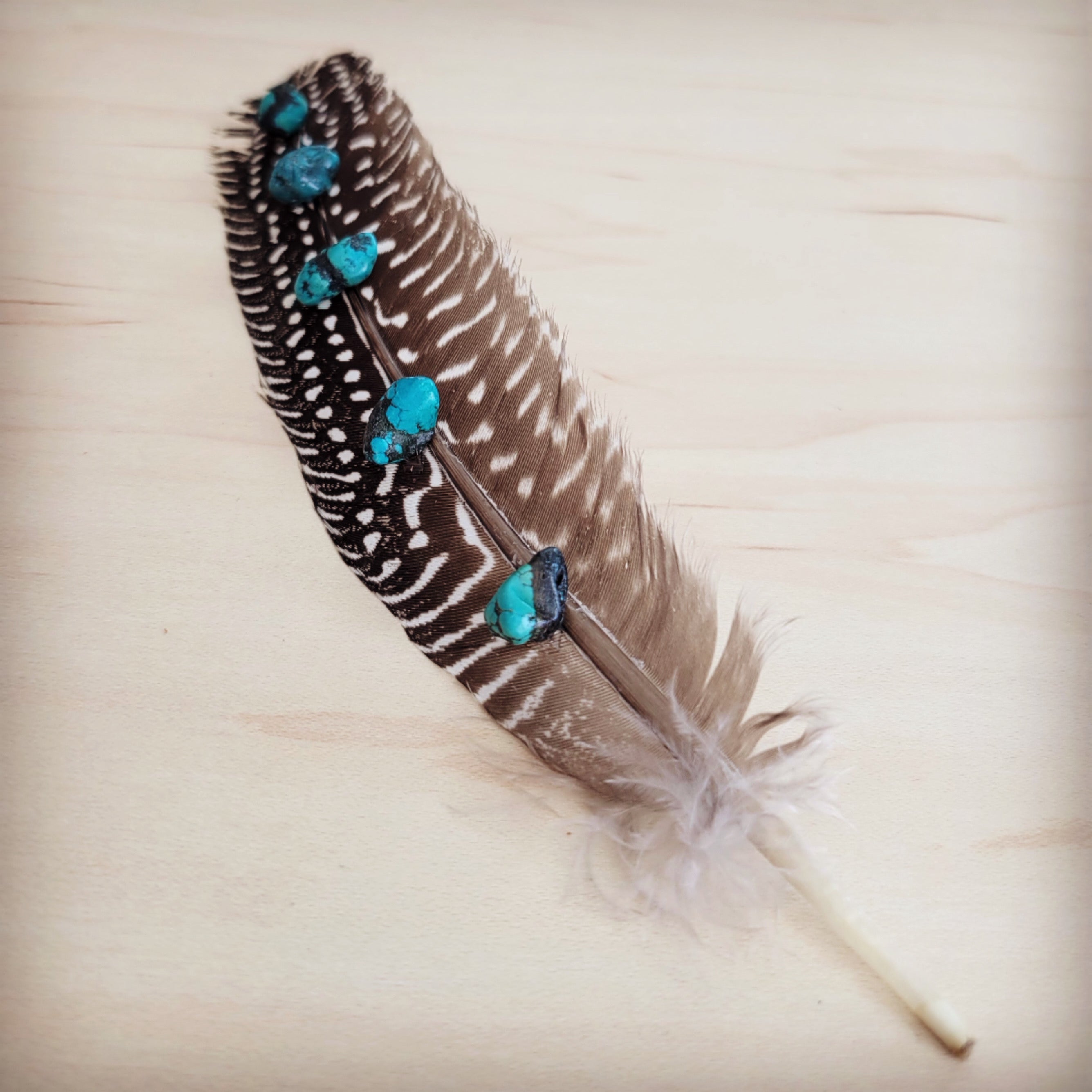 Spotted Turkey Feather Hat Accent w/ Turquoise Stones 954v | Hat Band | Wiccan Center