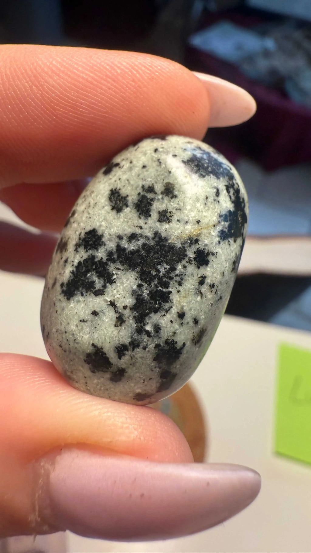 Greta Gabbro Tumbled Stone | Tumbled Stones | Wiccan Center