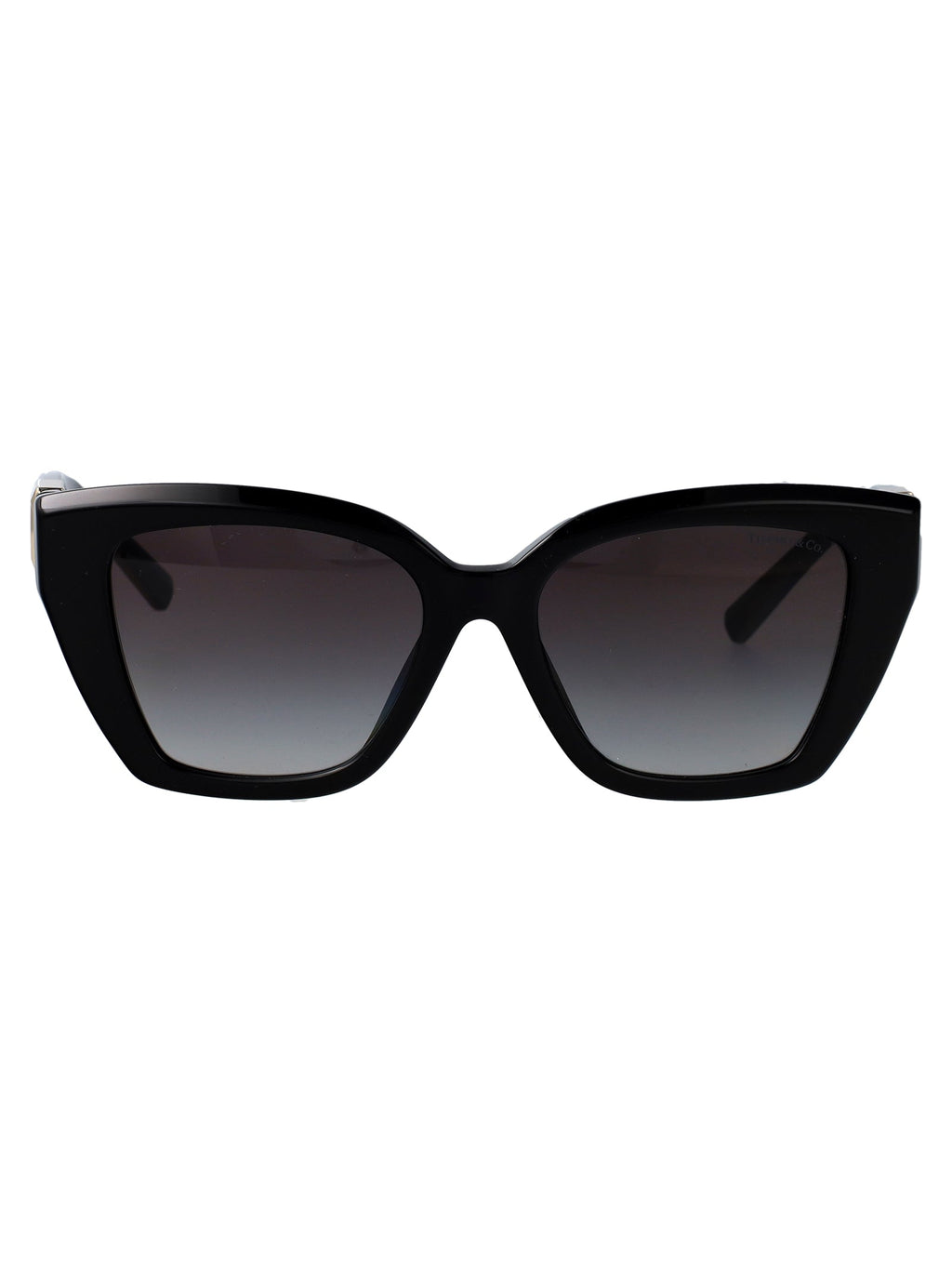 TIFFANY & CO Chic Acetate Sunglasses for Women - FW25 Collection