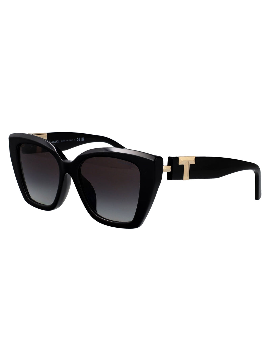 TIFFANY & CO Chic Acetate Sunglasses for Women - FW25 Collection