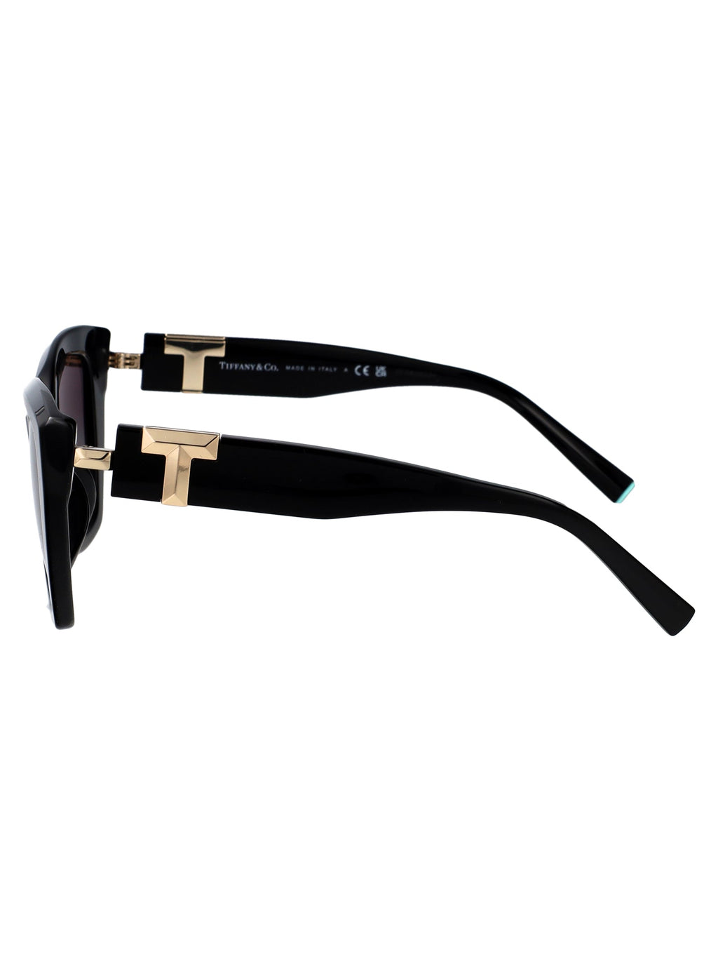 TIFFANY & CO Chic Acetate Sunglasses for Women - FW25 Collection
