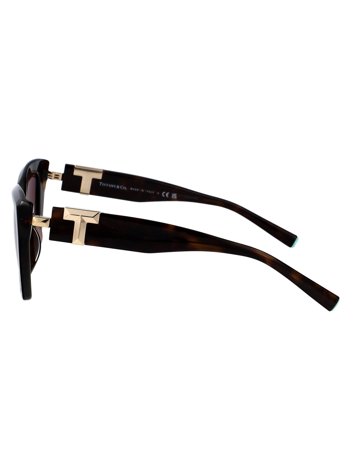 TIFFANY & CO Chic Acetate Sunglasses for Women