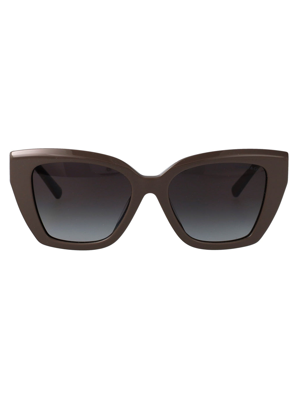 TIFFANY & CO Luxury Acetate Sunglasses for Women