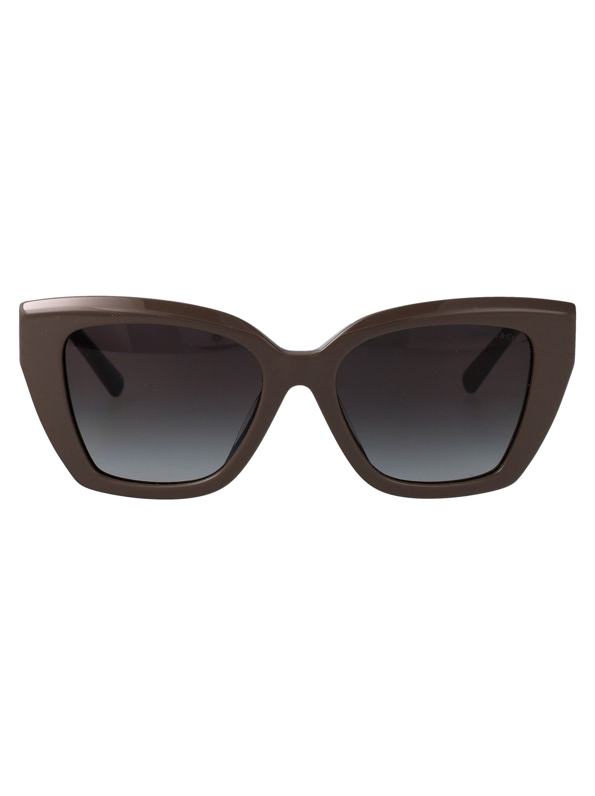 TIFFANY & CO Luxury Acetate Sunglasses for Women