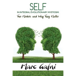 Self in Integral Evolutionary Mysticism - Paperback | Books | Wiccan Center
