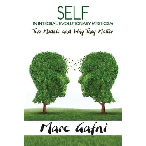 Self in Integral Evolutionary Mysticism - Paperback | Books | Wiccan Center