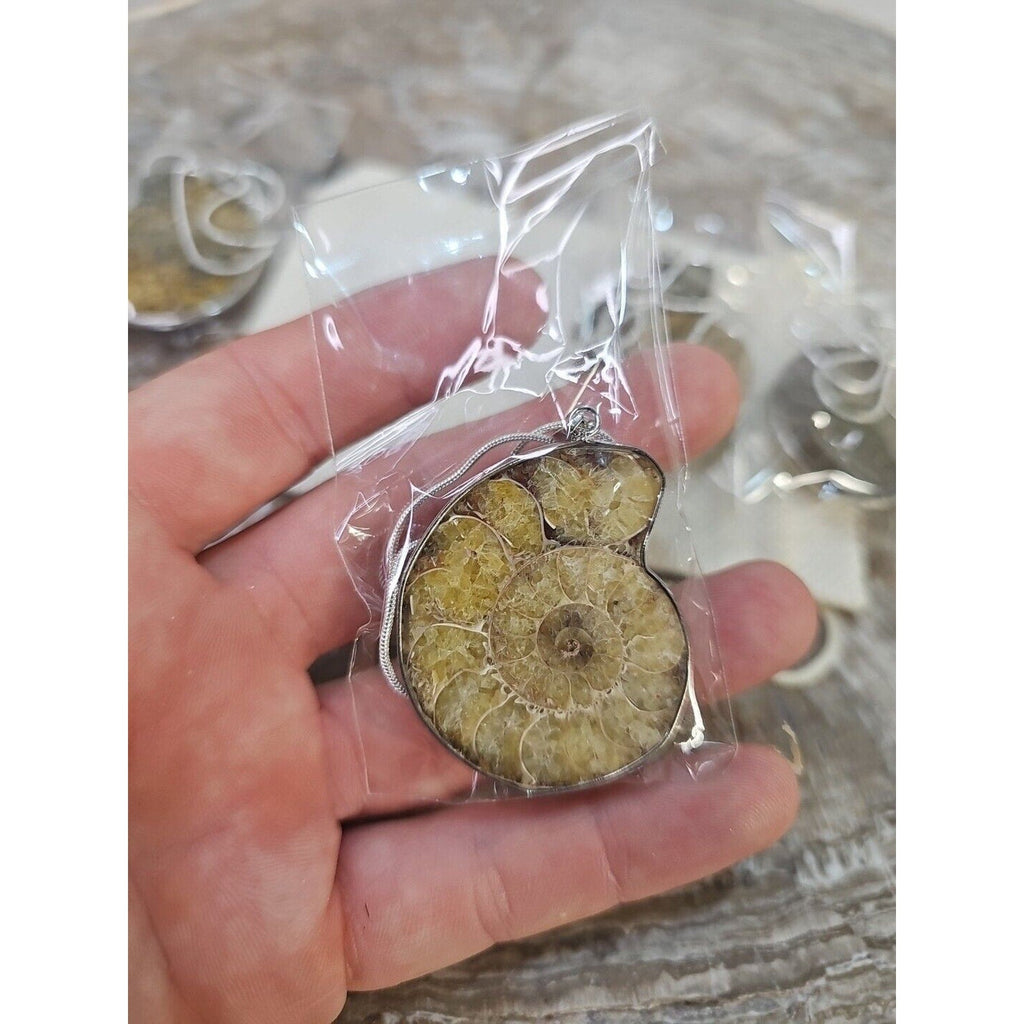 Ammonite Fossil Pendant Necklace — Handmade with 18-inch Silver Chain | CrystalCloud Company