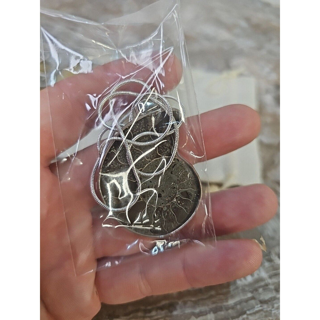 Ammonite Fossil Pendant Necklace — Handmade with 18-inch Silver Chain | CrystalCloud Company