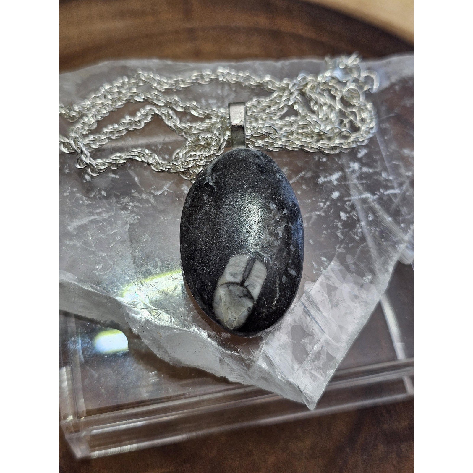 Orthoceras fossil pendant w/925 silver