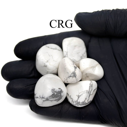 1LB. Howlite Tumbled Stones | Howlite | Wiccan Center