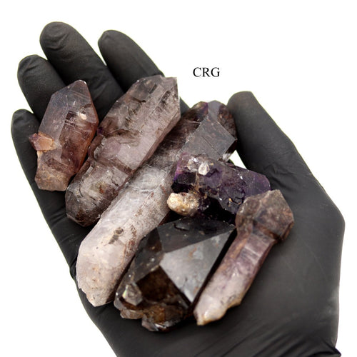 1 Piece - Shangaan Smoky Amethyst Scepters from Zimbabwe / 2-4" Avg | Amethyst | Wiccan Center