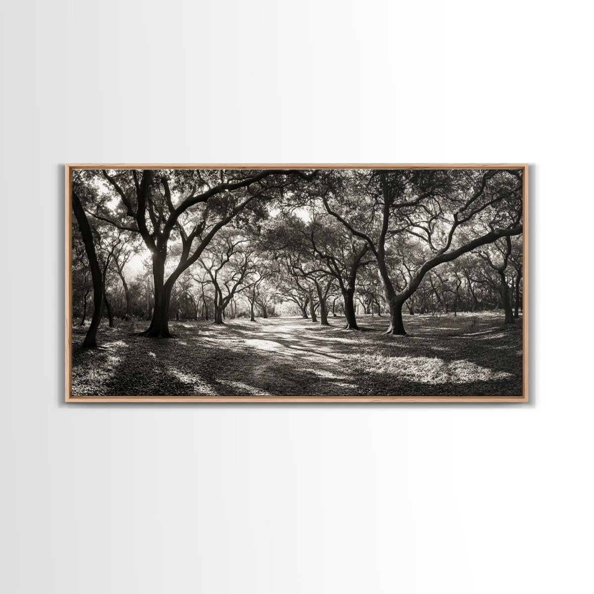 Oak Tree Path, Autumn Forest Glow, Nature Trail Photography, Framed Canvas Print, Hallway Wall Art, Earthy Decor, Woodland Art | | Wiccan Center