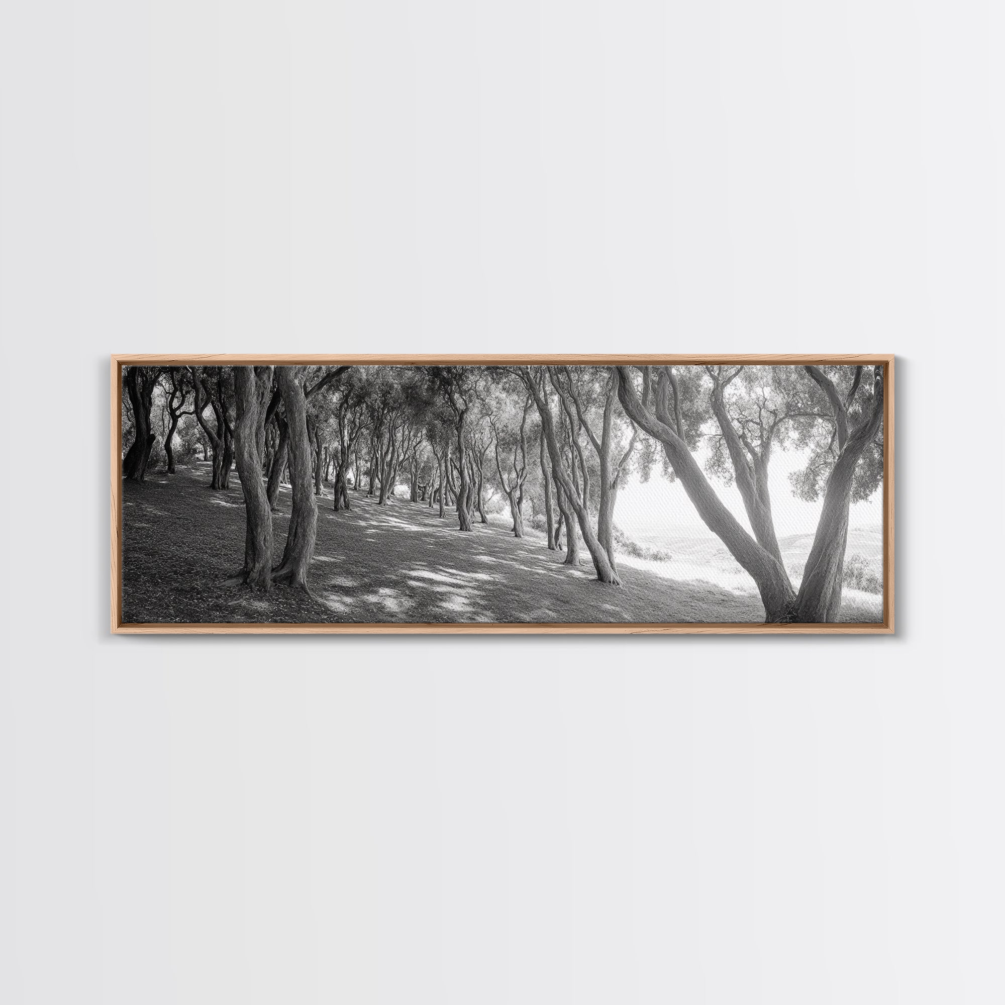 Forest Path, Tree Tunnel, Light Shadows, Woodland Magic, Framed Canvas Print, Nature Lover Gift, Entryway Wall Art, Modern Rustic Style