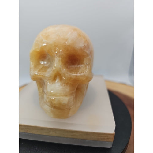0.89 lb Jasper Jade Agate Crystal Skull – Madagascar | Crystal Carvings & Skulls | Wiccan Center