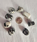 Calcite Tiger - Tumbled | Tumbled Gemstone | Wiccan Center
