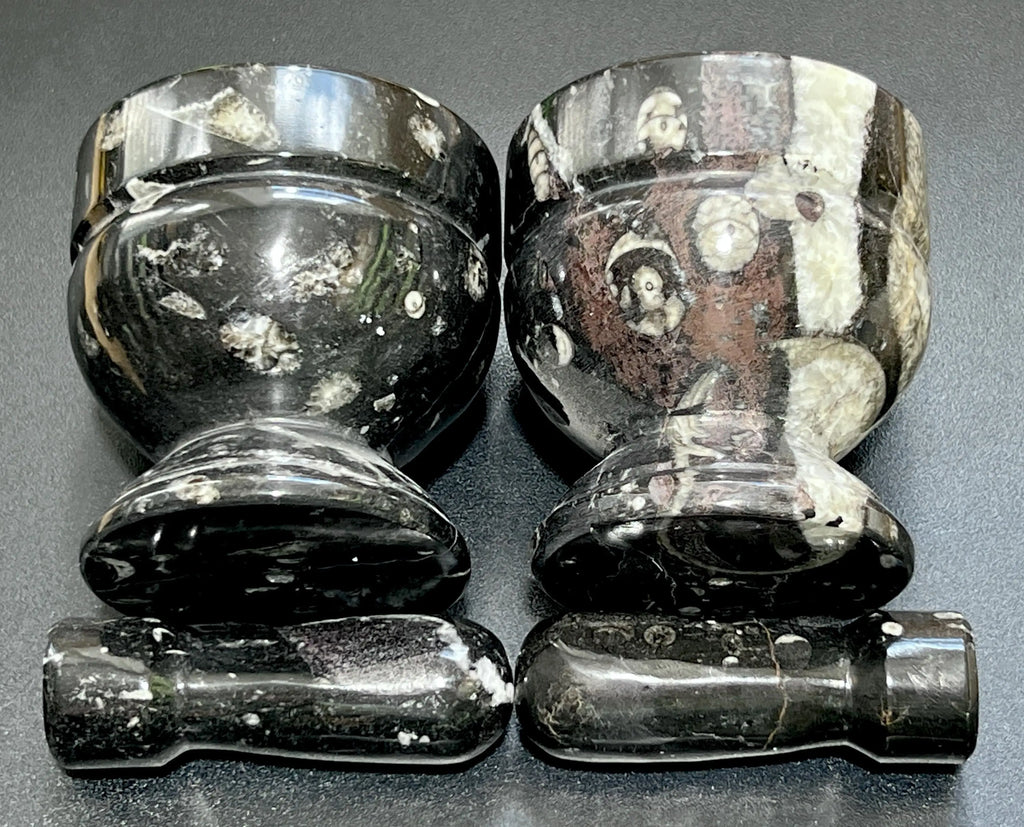 Orthoceras Mortar and Pestle Set (Mortar + Pestle) Polished Black Fossil Stone Carving Grinder Mixer | Home & Living > Kitchen & Dining > Cookware > Cooking Utensils & Gadgets | Wiccan Center