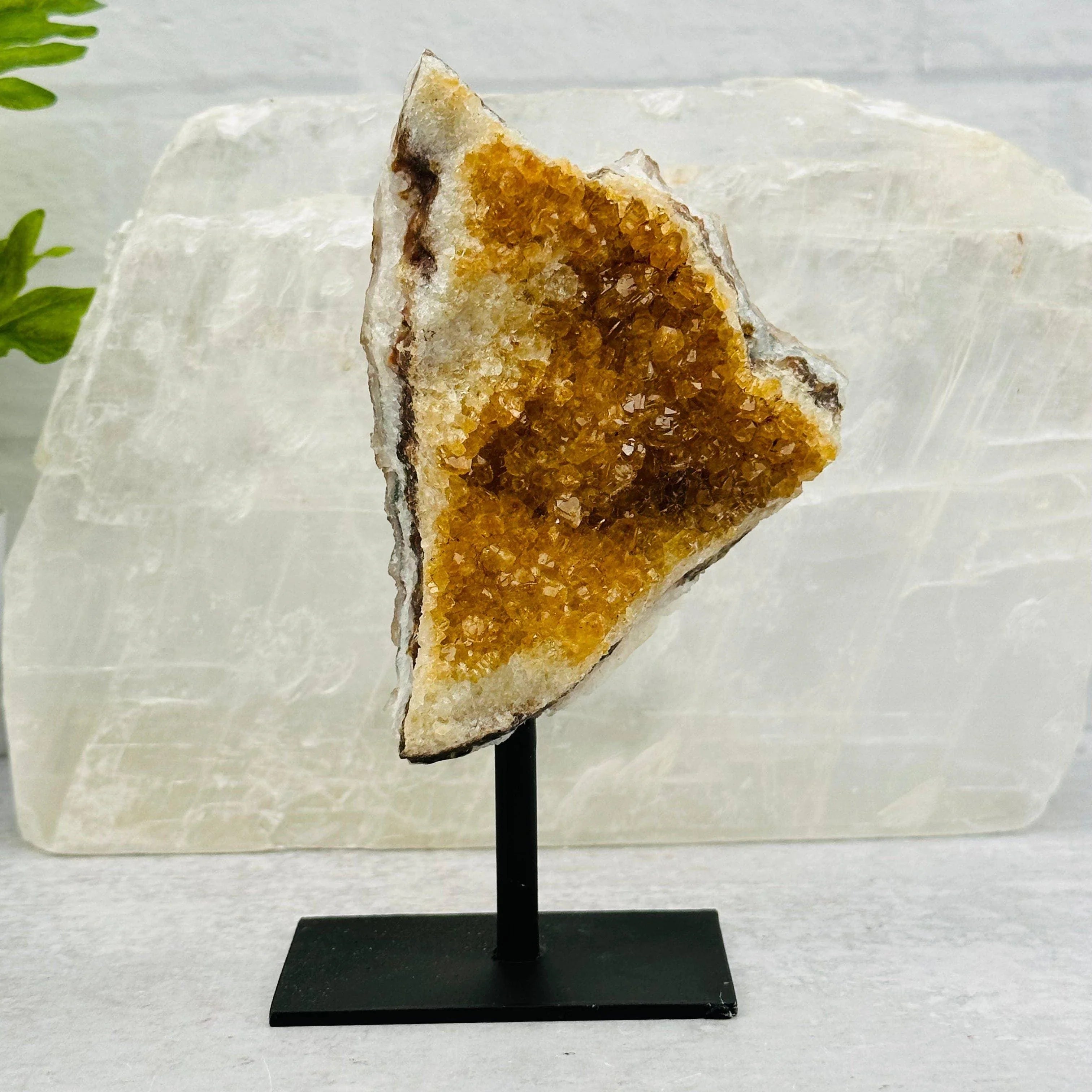 Citrine Cluster on Metal Stand