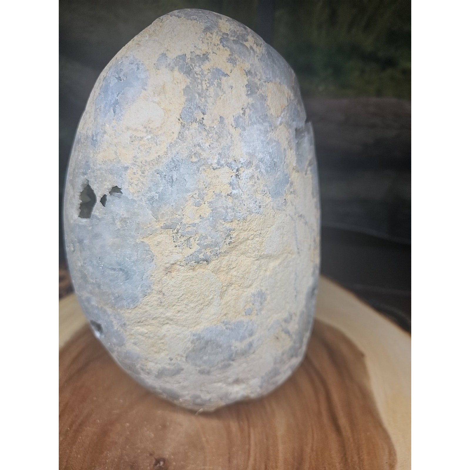 Large Baby Blue Celestite Geode Cluster — 13.6 lbs, 8 inches, Brazil | CrystalCloud Company | Geodes & Clusters | Wiccan Center