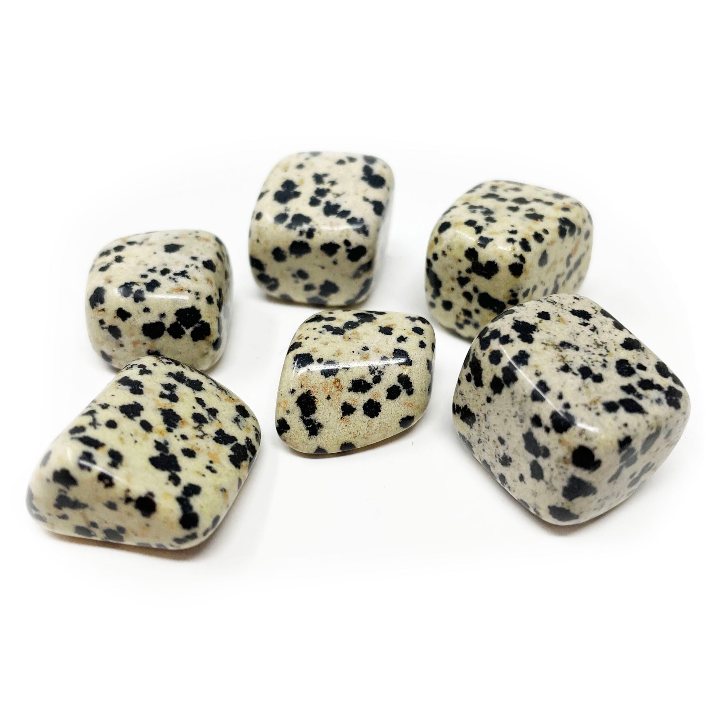 Tumbled Dalmatian Jasper From Africa | Crystals & Minerals > Specimens | Wiccan Center