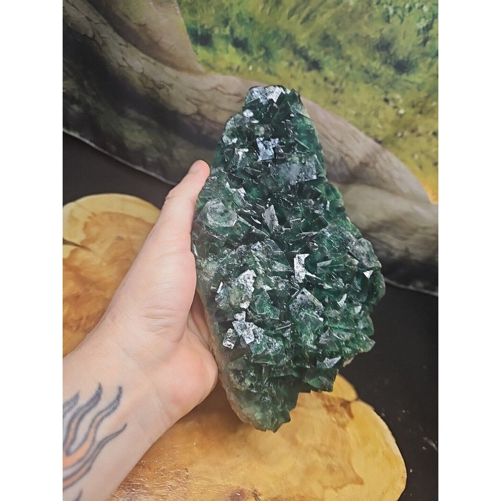 3.2lb NATURAL Green FLUORITE Quartz Crystal Cluster Mineral Specimen | Geodes & Clusters | Wiccan Center