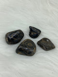 Stromatolite - Tumbled | Tumbled Gemstone | Wiccan Center