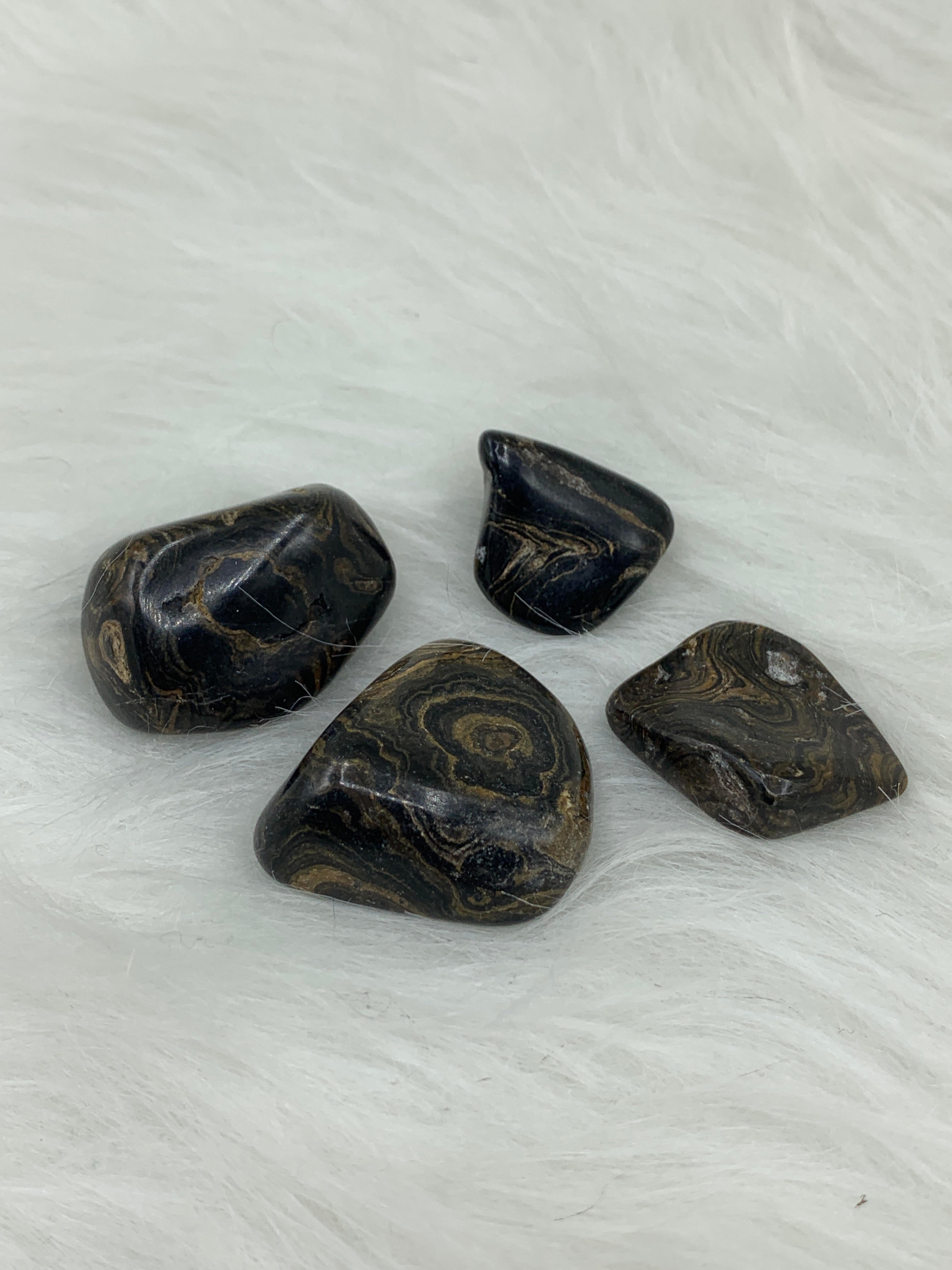 Stromatolite - Tumbled | Tumbled Gemstone | Wiccan Center