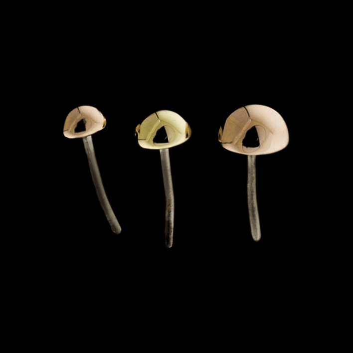 Dome - 14KT Gold Threadless End | Threadless End | Wiccan Center