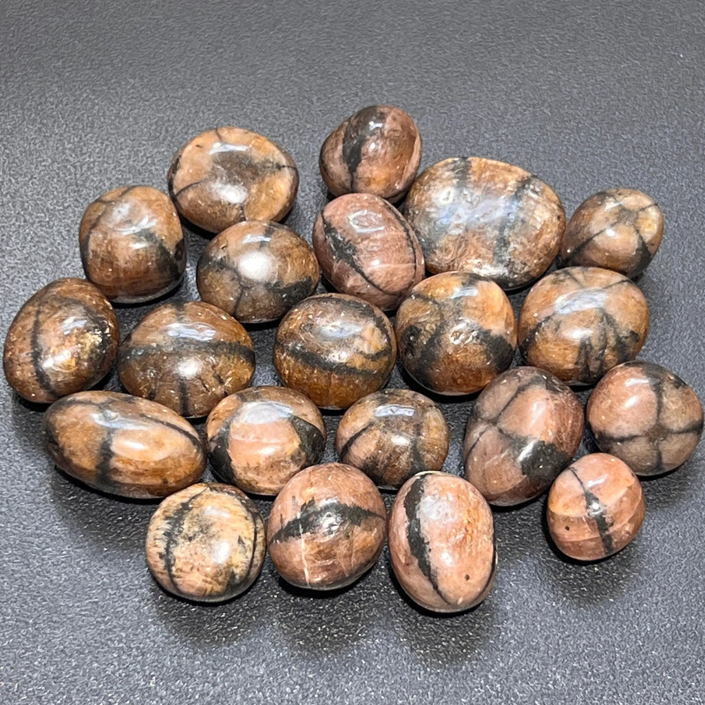 Extra Quality Premium Chiastolite Tumbled Stones (By The Piece or Pound)(Fairy Cross Stone) | Home & Living > Home Decor > Home Accents > Rocks & Geodes | Wiccan Center