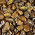 Lionskin med | Tumbled Gemstone | Wiccan Center