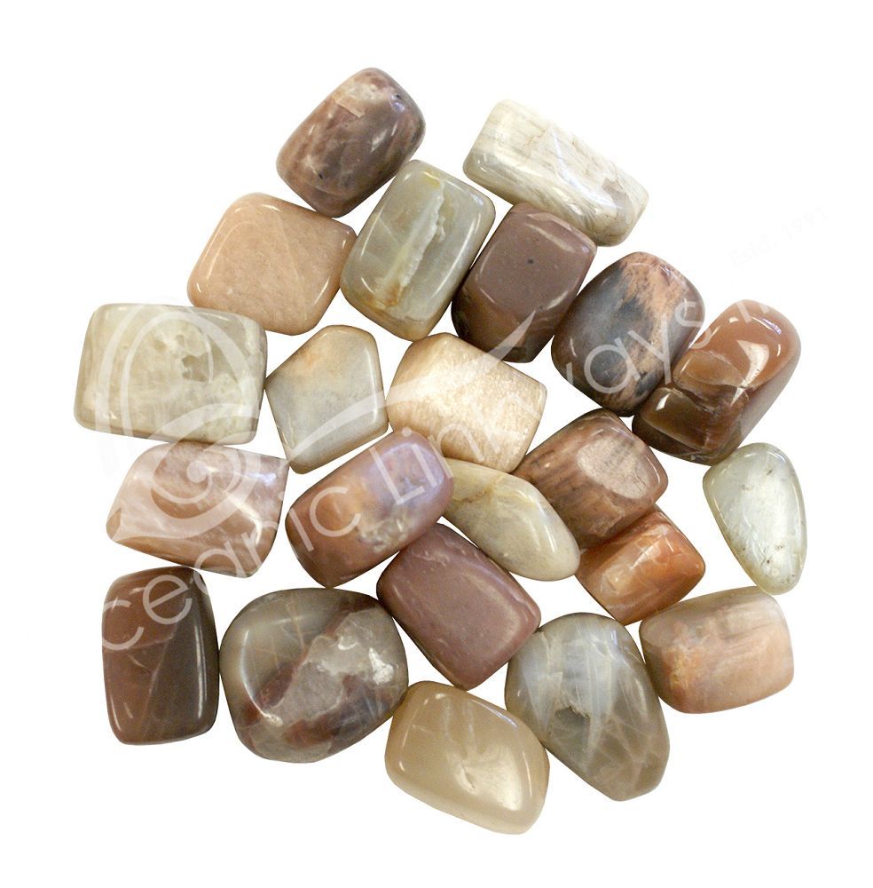 Moonstone Multi - Tumbled | Tumbled Gemstone | Wiccan Center