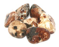 Garnet/Limestone w/Epidot | Tumbled Gemstone | Wiccan Center