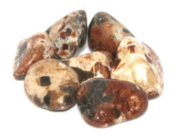 Garnet/Limestone w/Epidot | Tumbled Gemstone | Wiccan Center