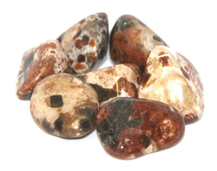Garnet/Limestone w/Epidot | Tumbled Gemstone | Wiccan Center