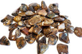Agate Cheetah | Tumbled Gemstone | Wiccan Center