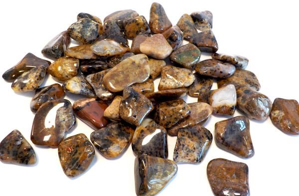Agate Cheetah | Tumbled Gemstone | Wiccan Center