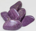 Stichtite AA | Tumbled Gemstone | Wiccan Center
