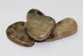 Petoskey Stone Slices | Tumbled Gemstone | Wiccan Center
