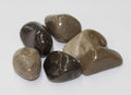 Petoskey Stone A | Tumbled Gemstone | Wiccan Center