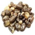 Septarian C Large | Tumbled Gemstone | Wiccan Center