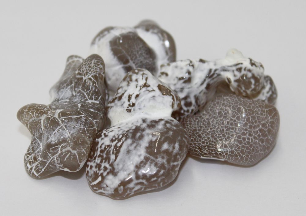Snakeskin Agate med | Tumbled Gemstone | Wiccan Center