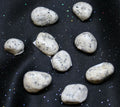 Jasper Dalmatian | Tumbled Gemstone | Wiccan Center