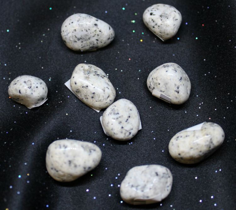Jasper Dalmatian | Tumbled Gemstone | Wiccan Center